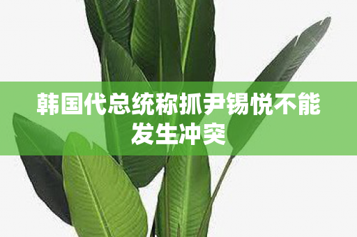 韩国代总统称抓尹锡悦不能发生冲突