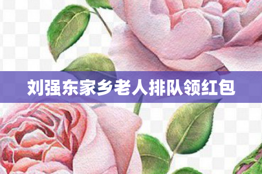 刘强东家乡老人排队领红包