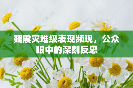 魏震灾难级表现频现，公众眼中的深刻反思