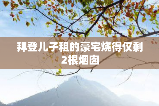 拜登儿子租的豪宅烧得仅剩2根烟囱
