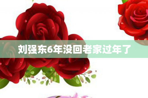 刘强东6年没回老家过年了