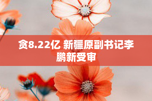 贪8.22亿 新疆原副书记李鹏新受审