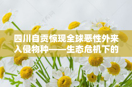 四川自贡惊现全球恶性外来入侵物种——生态危机下的警钟长鸣