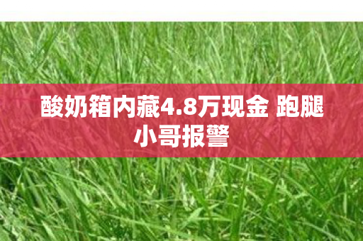 酸奶箱内藏4.8万现金 跑腿小哥报警