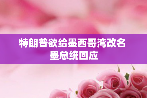 特朗普欲给墨西哥湾改名 墨总统回应