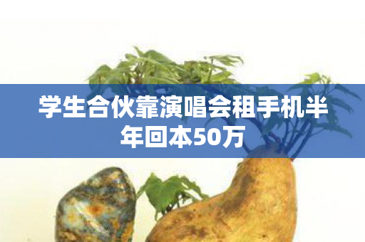 学生合伙靠演唱会租手机半年回本50万