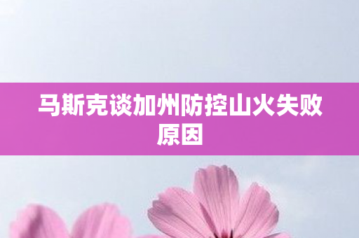 马斯克谈加州防控山火失败原因