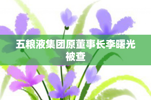 五粮液集团原董事长李曙光被查