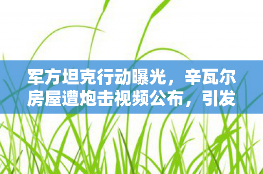 军方坦克行动曝光，辛瓦尔房屋遭炮击视频公布，引发社会广泛关注