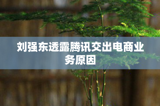 刘强东透露腾讯交出电商业务原因