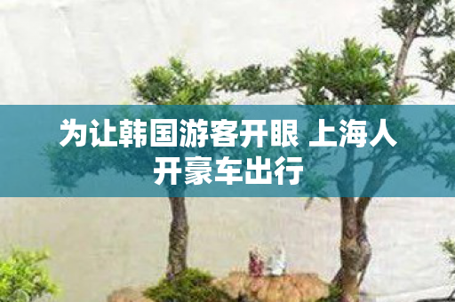 为让韩国游客开眼 上海人开豪车出行
