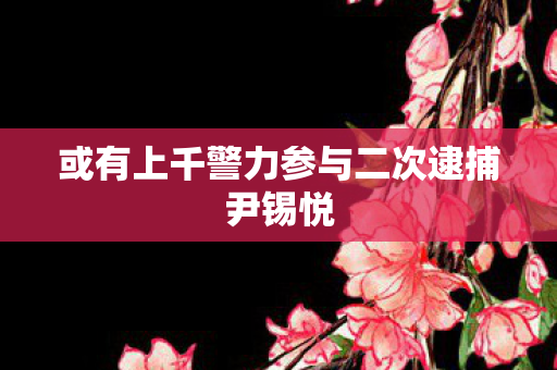 或有上千警力参与二次逮捕尹锡悦