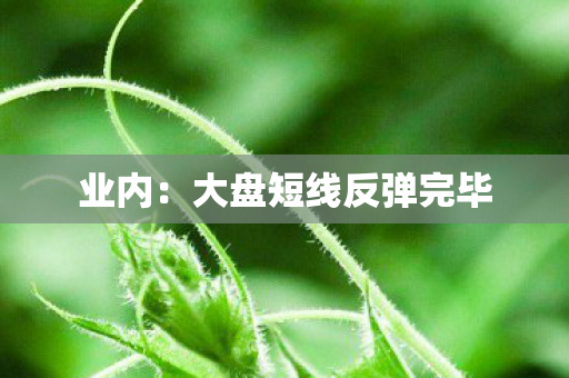 业内：大盘短线反弹完毕