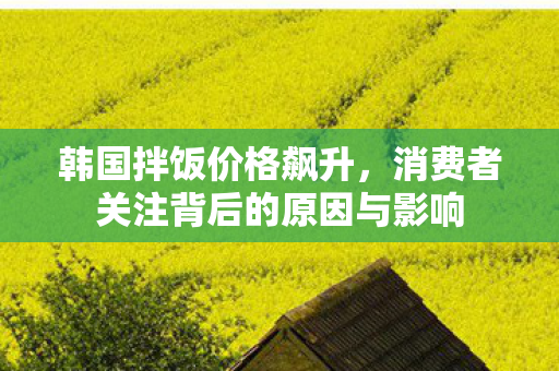 韩国拌饭价格飙升，消费者关注背后的原因与影响