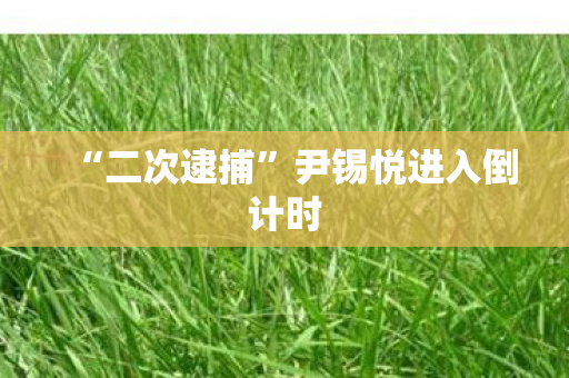 “二次逮捕”尹锡悦进入倒计时