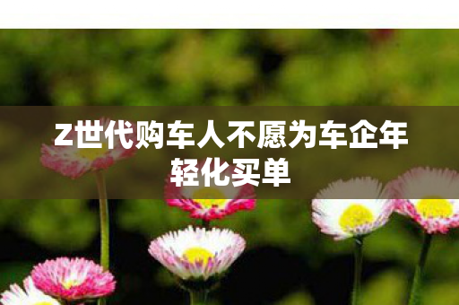 Z世代购车人不愿为车企年轻化买单