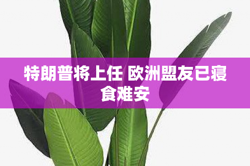 特朗普将上任 欧洲盟友已寝食难安