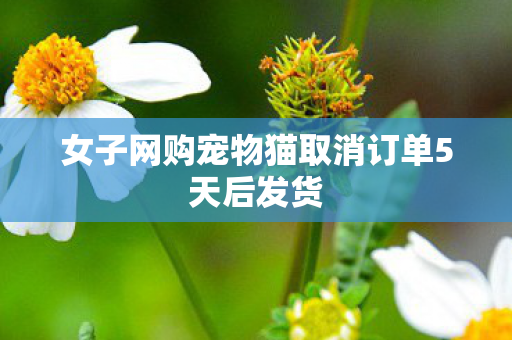 女子网购宠物猫取消订单5天后发货
