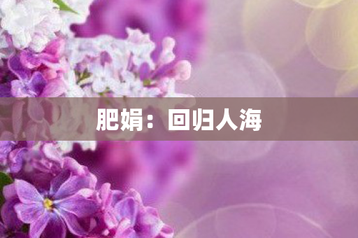 肥娟：回归人海