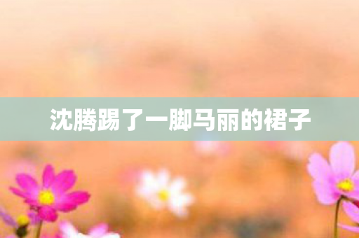 沈腾踢了一脚马丽的裙子