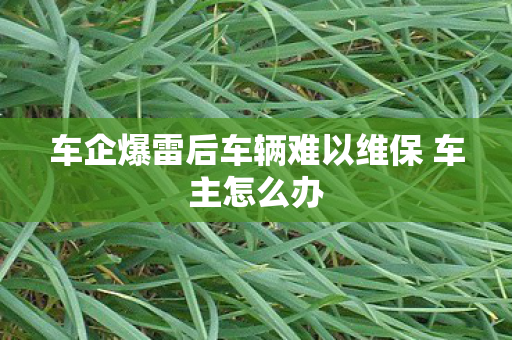 车企爆雷后车辆难以维保 车主怎么办