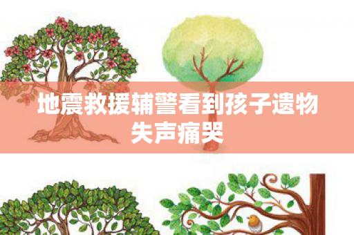 地震救援辅警看到孩子遗物失声痛哭