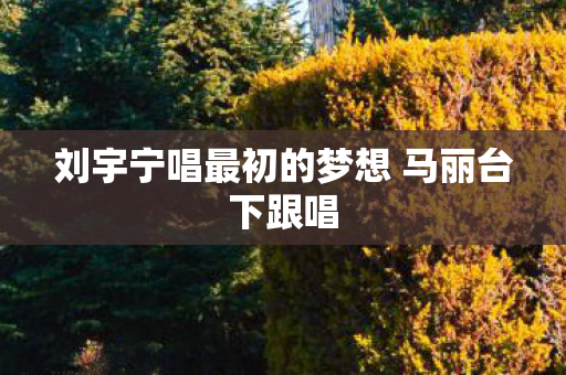 刘宇宁唱最初的梦想 马丽台下跟唱