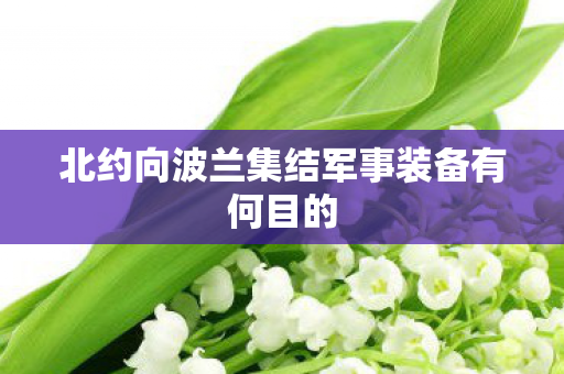 北约向波兰集结军事装备有何目的
