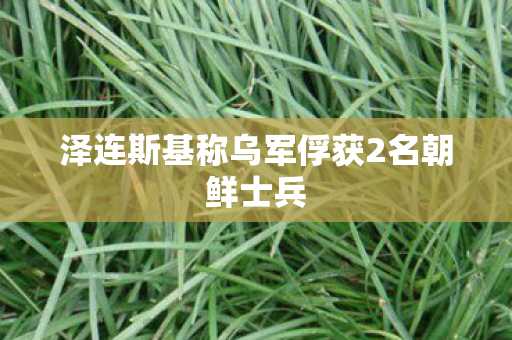 泽连斯基称乌军俘获2名朝鲜士兵