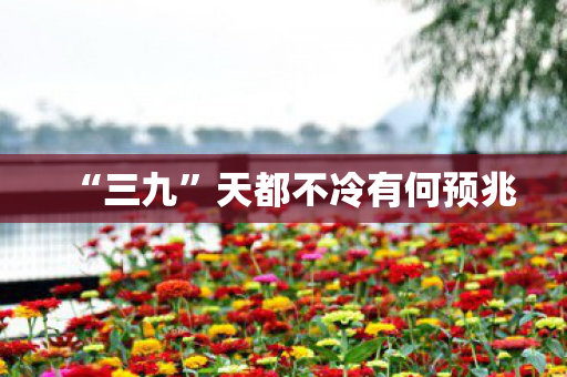 “三九”天都不冷有何预兆