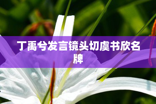 丁禹兮发言镜头切虞书欣名牌
