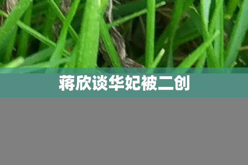 蒋欣谈华妃被二创