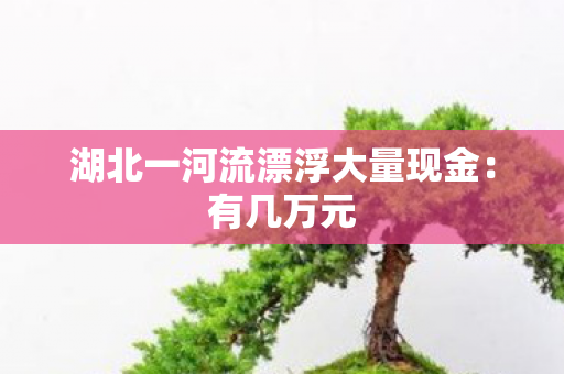 湖北一河流漂浮大量现金：有几万元