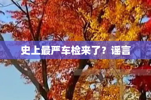 史上最严车检来了？谣言