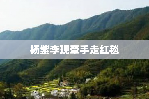 杨紫李现牵手走红毯