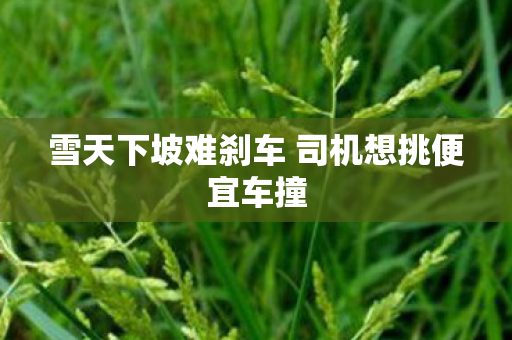 雪天下坡难刹车 司机想挑便宜车撞