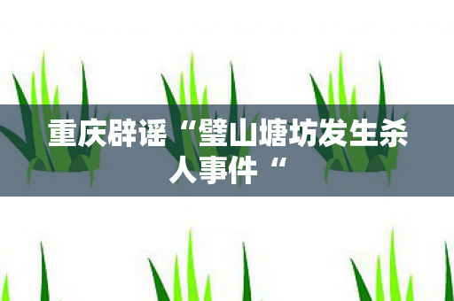 重庆辟谣“璧山塘坊发生杀人事件“