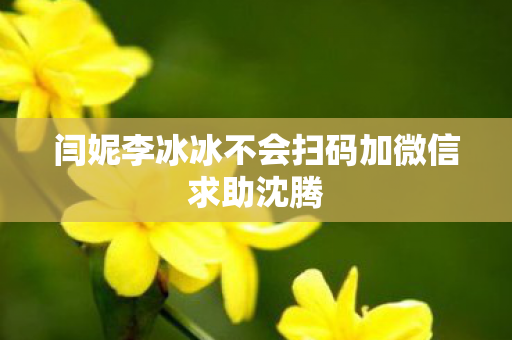 闫妮李冰冰不会扫码加微信求助沈腾