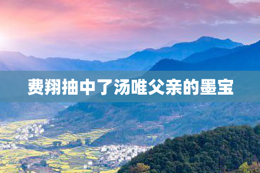 费翔抽中了汤唯父亲的墨宝