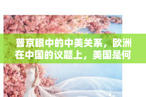 普京眼中的中美关系，欧洲在中国的议题上，美国是何角1？