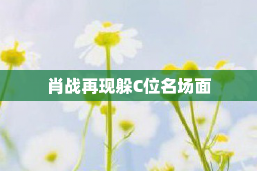 肖战再现躲C位名场面