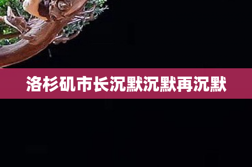 洛杉矶市长沉默沉默再沉默