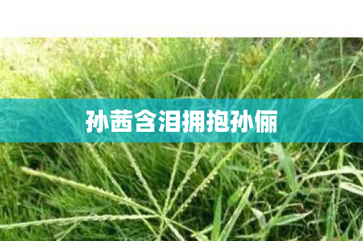 孙茜含泪拥抱孙俪