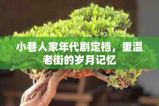 小巷人家年代剧定档，重温老街的岁月记忆