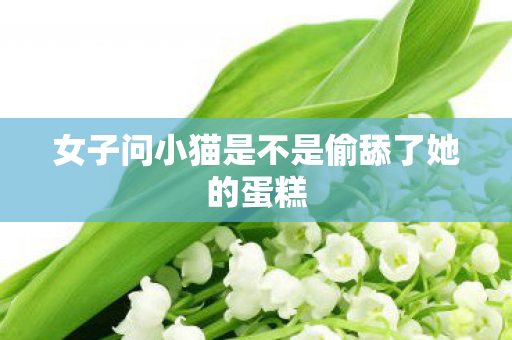 女子问小猫是不是偷舔了她的蛋糕