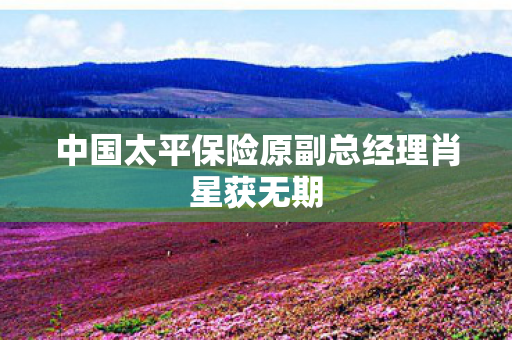 中国太平保险原副总经理肖星获无期