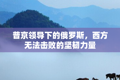 普京领导下的俄罗斯，西方无法击败的坚韧力量