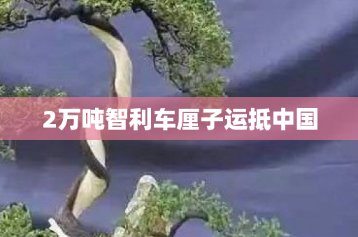 2万吨智利车厘子运抵中国