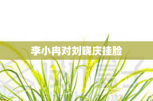 李小冉对刘晓庆挂脸