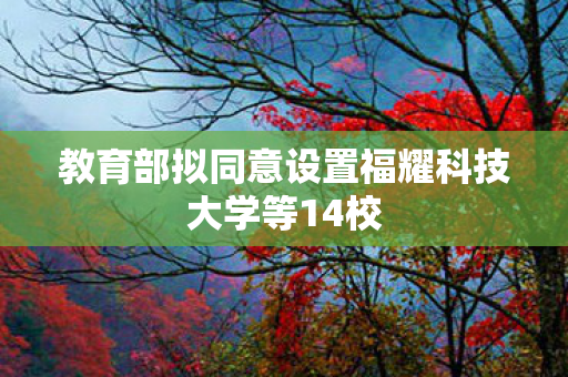 教育部拟同意设置福耀科技大学等14校